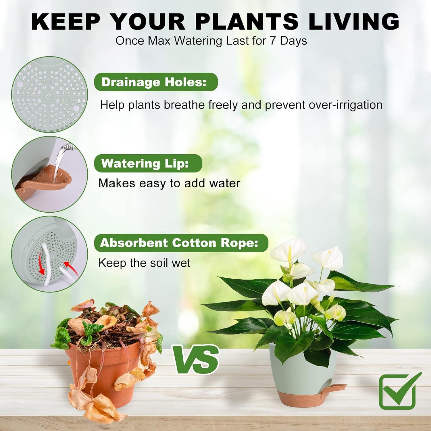 Macetas Autorriego Vanslogreen 5 Piezas Verde 12-18 cm