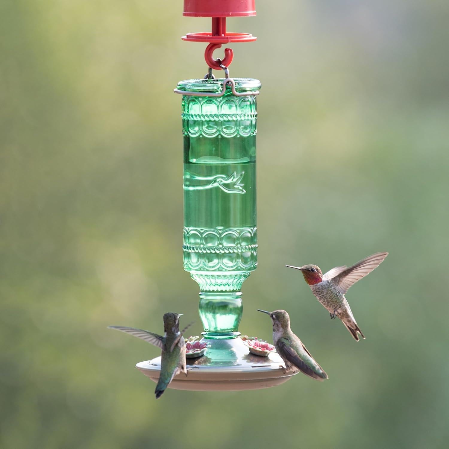 Alimentador de Colibríes Perky-Pet Vidrio Vintage 295 ml