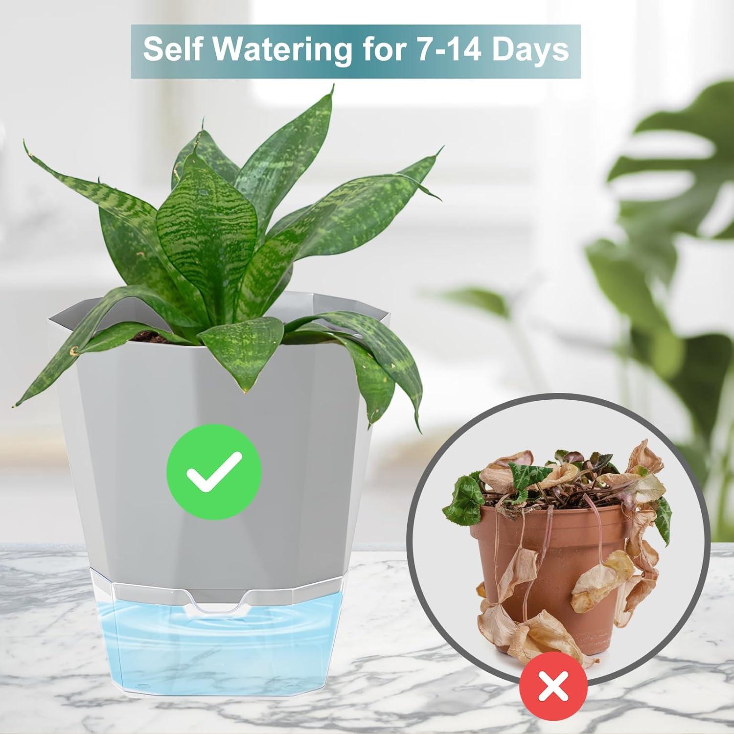 Paquete de 3 macetas autorriego Samhe 12.45 cm jardín