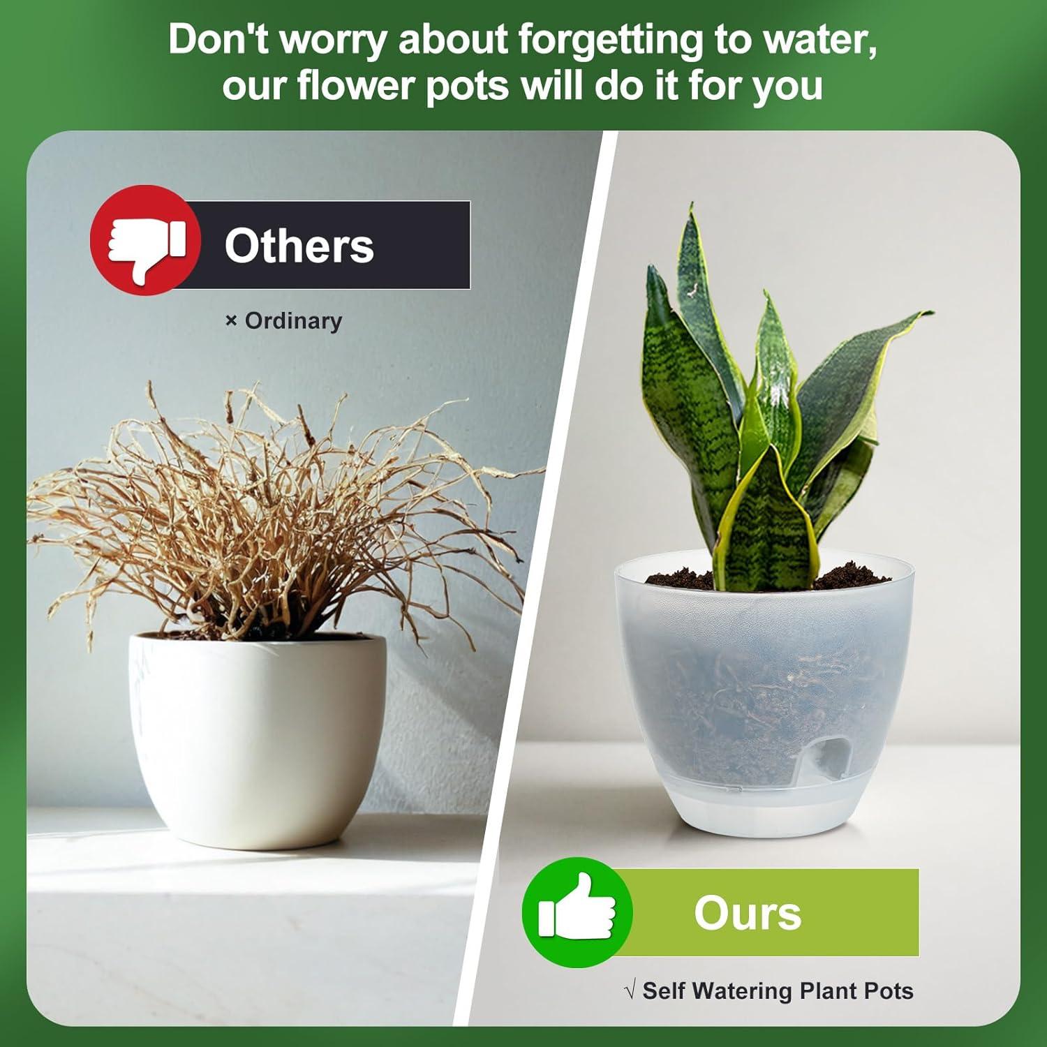 Macetas Autorriego IWNTWY 15cm Juego de 5 Transparentes