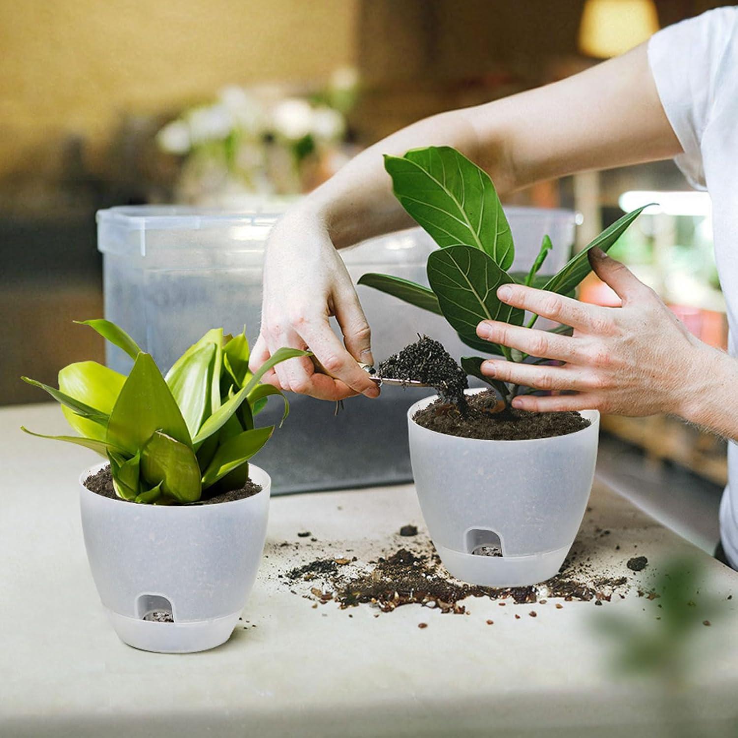 Macetas Autorriego IWNTWY 15cm Juego de 5 Transparentes