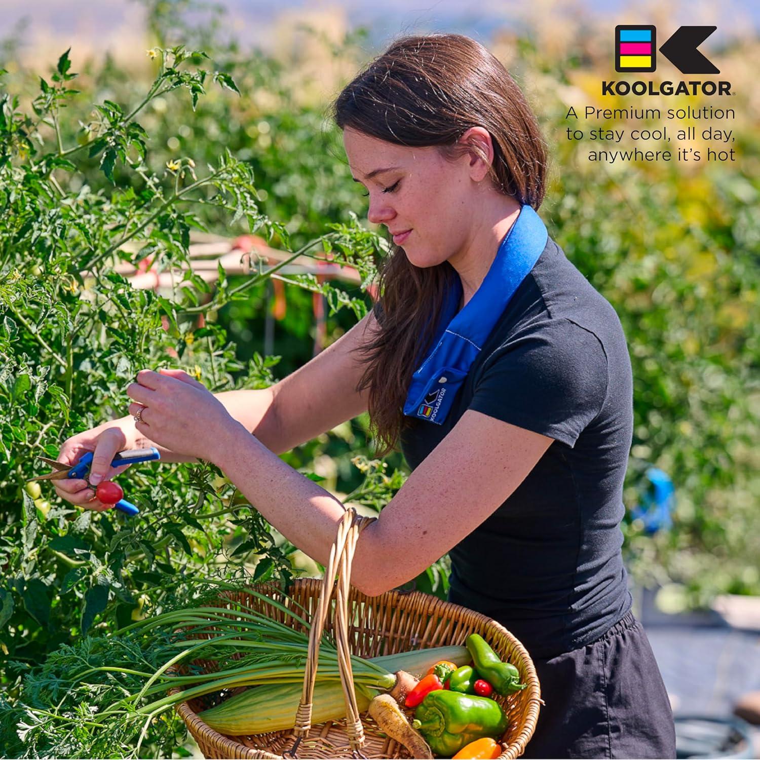 Pañuelo Enfriador KOOLGATOR para el Cuello - Paisley Azul y Rojo