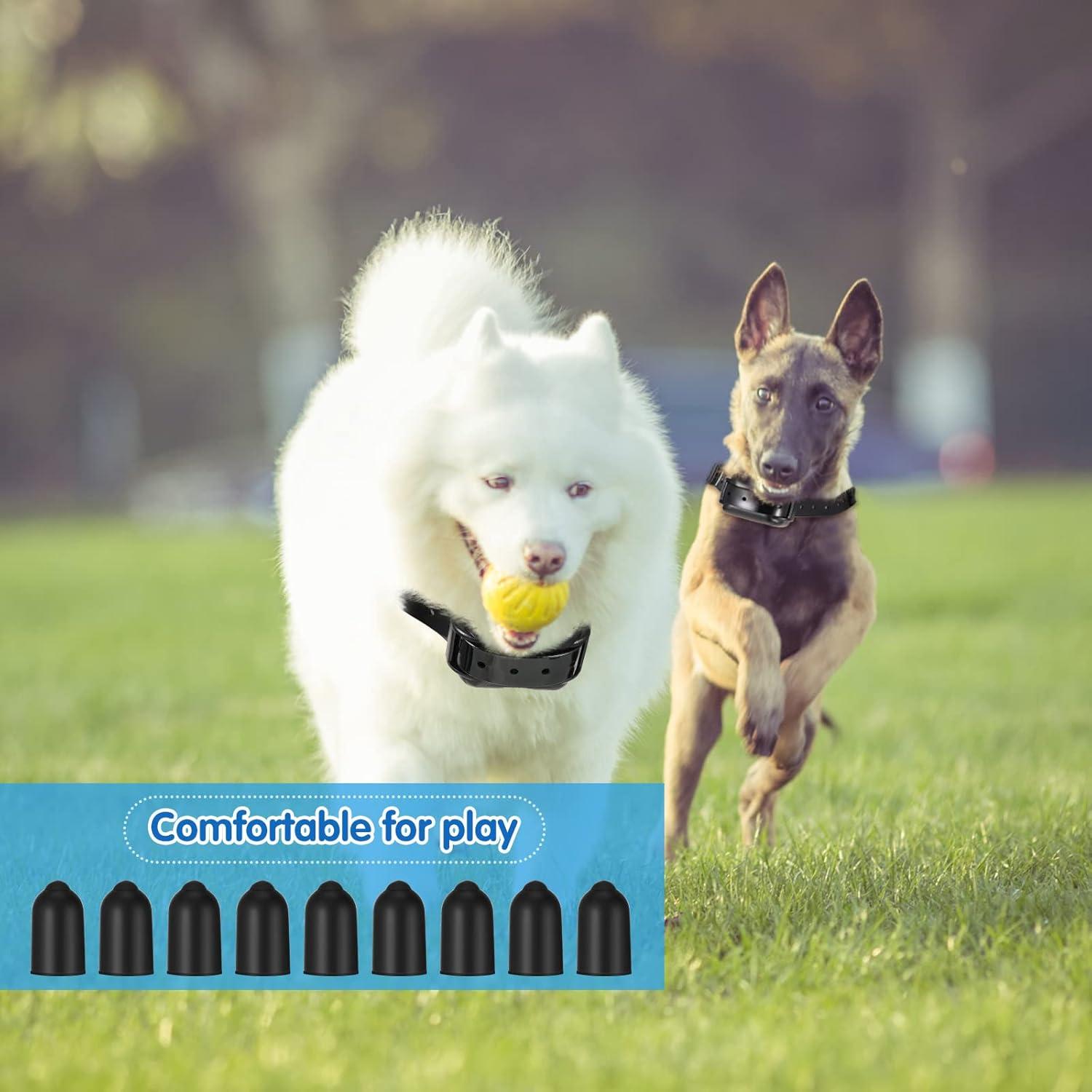 Puntas de Goma Weewooday para Collar de Entrenamiento de Perros - 24 Piezas