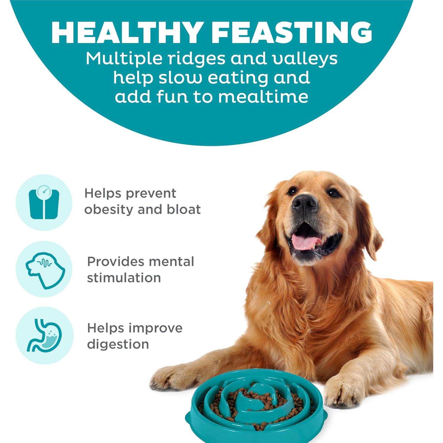 Cuenco para Perros Outward Hound Slo Bowl Grande Turquesa