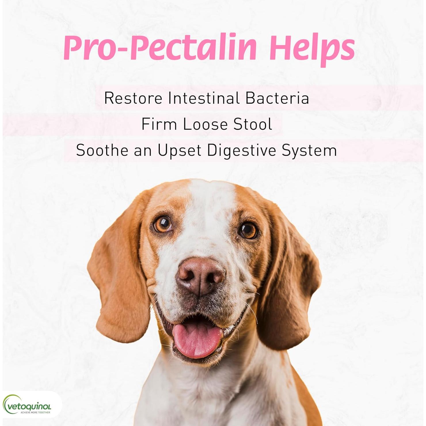 Pasta Oral Pro-Pectalin Vetoquinol 15cc para Perros y Gatos