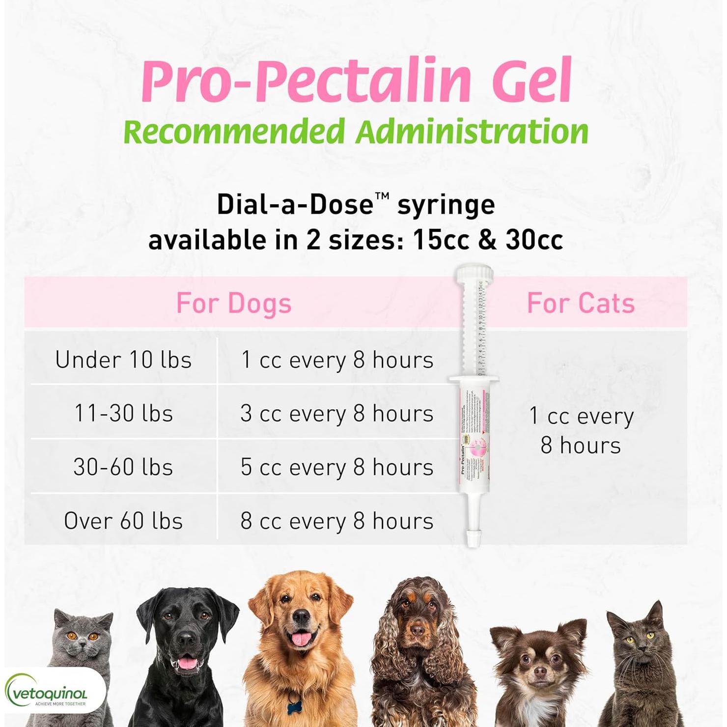 Pasta Oral Pro-Pectalin Vetoquinol 15cc para Perros y Gatos