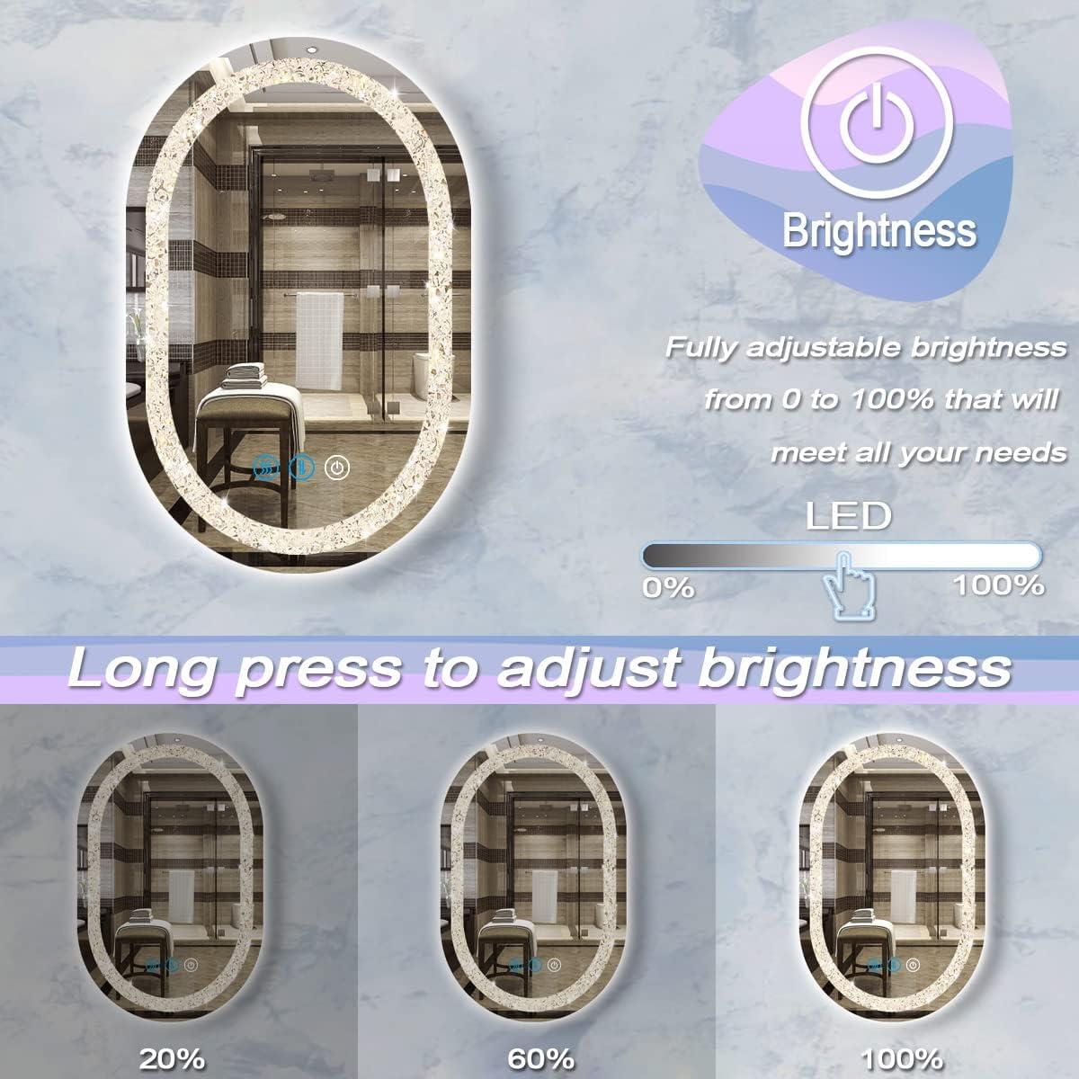 Espejo LED Ovalado DIDIDADA 61x40.64 cm con Luz Regulable