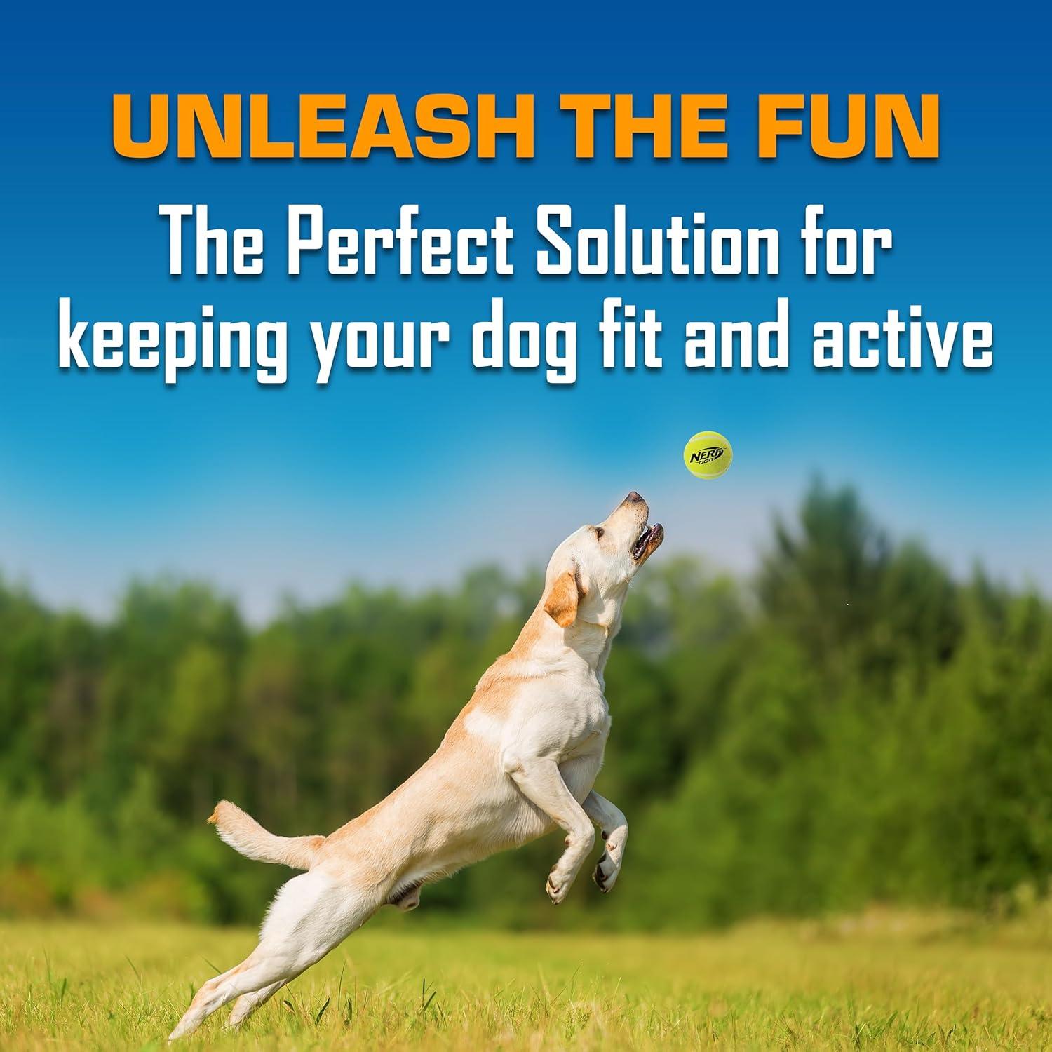 Conjunto de Juguetes para Perros Nerf 16 Piezas Verde