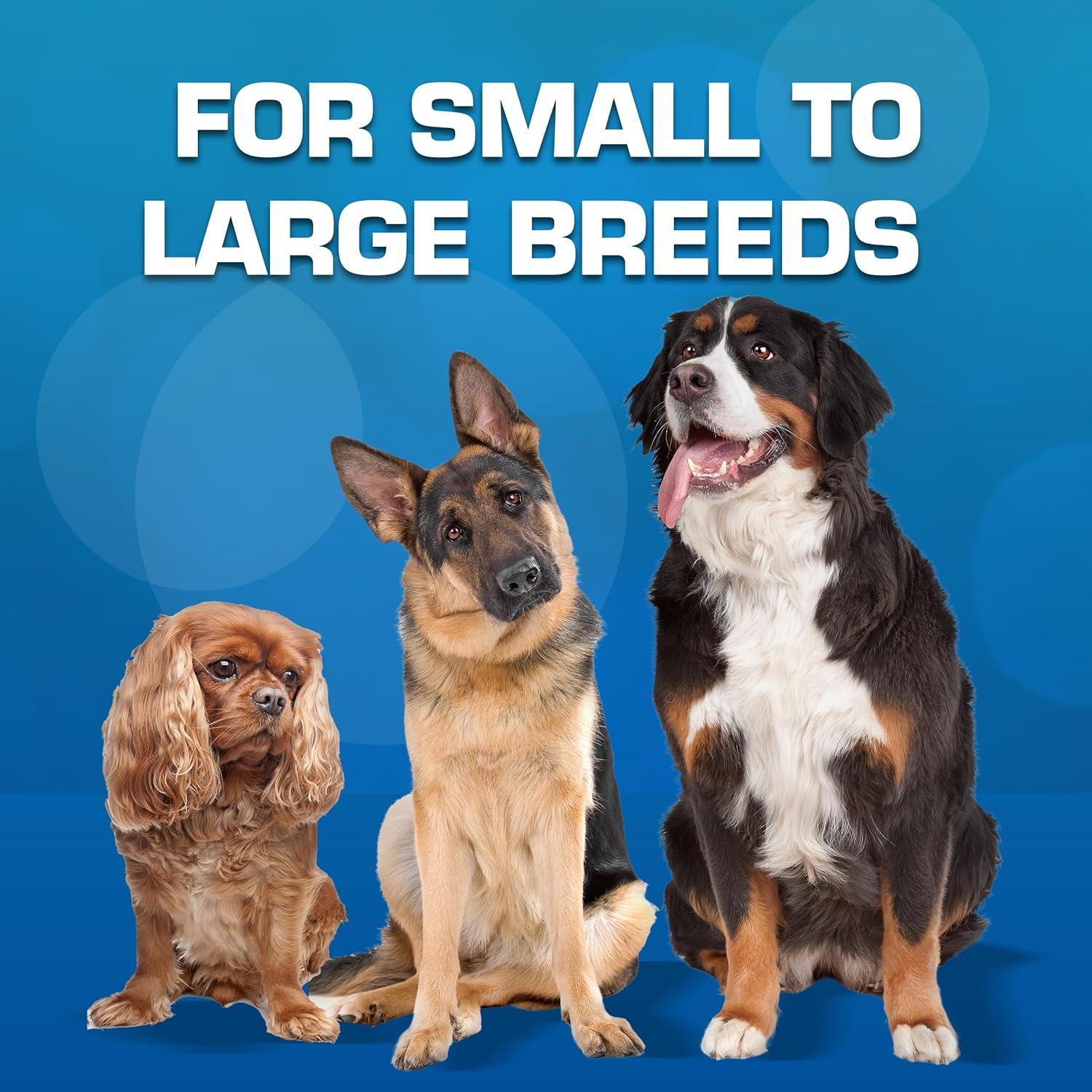 Conjunto de Juguetes para Perros Nerf 16 Piezas Verde