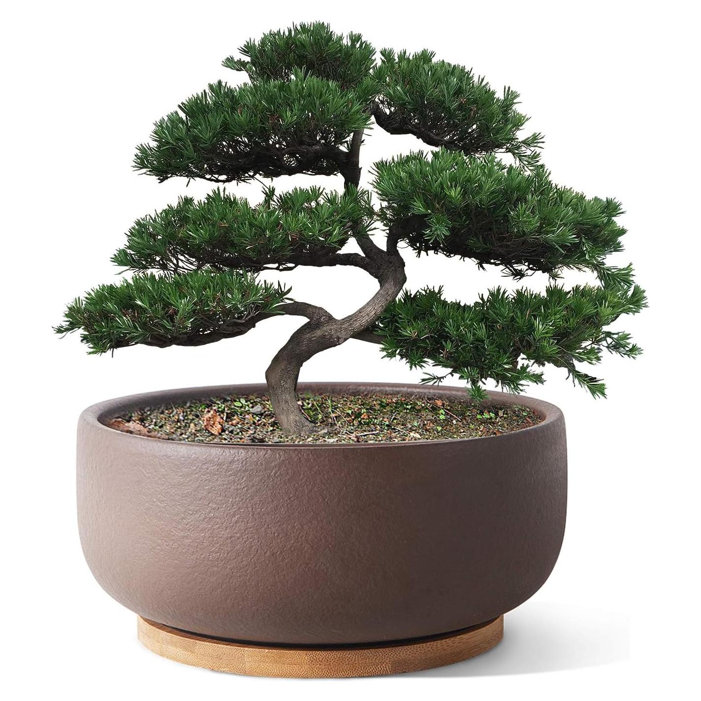 Maceta de Terracota SQOWL 20 cm Redonda con Drenaje