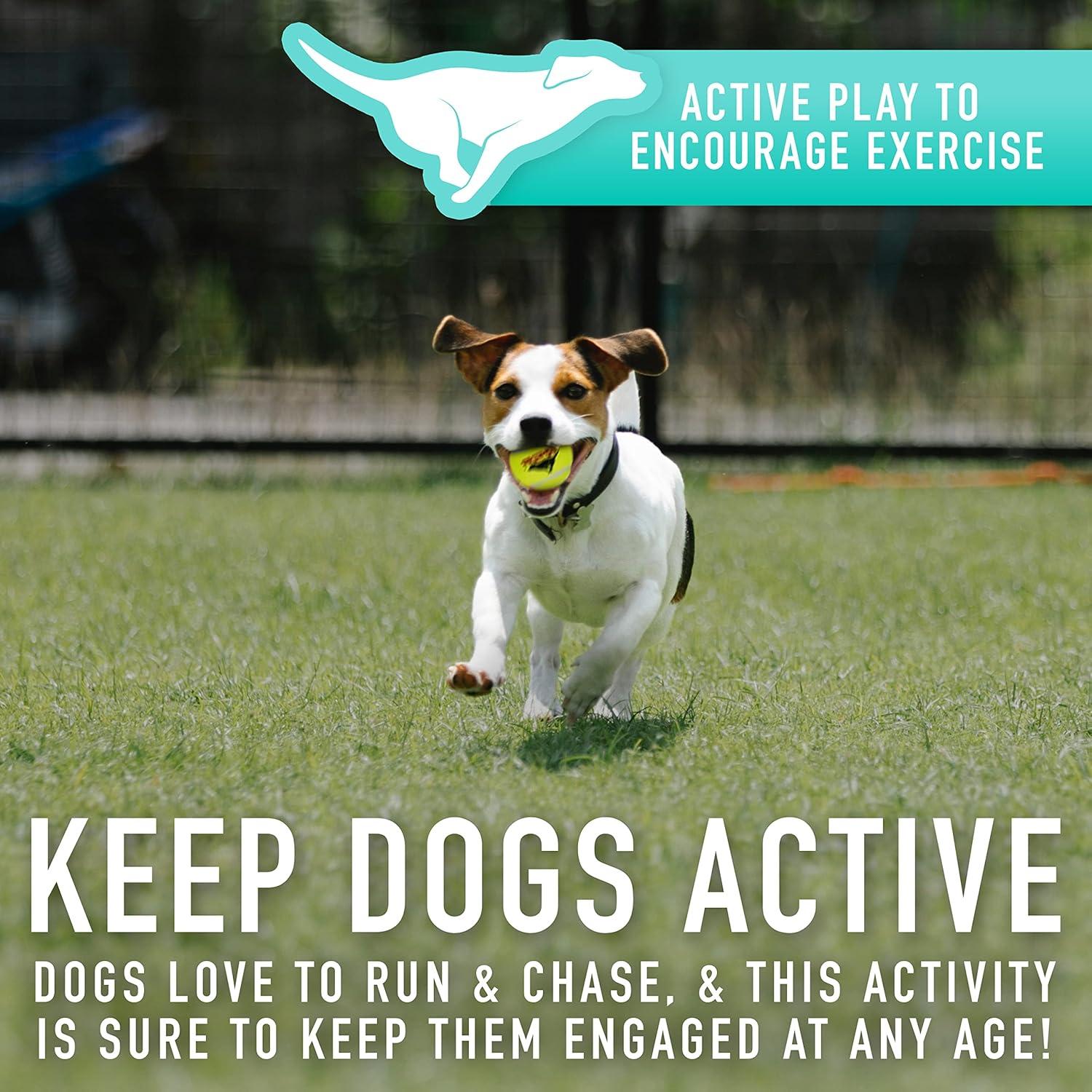 Lanzador de Pelotas Mini Franklin Pet Supply - Juguete para Perros