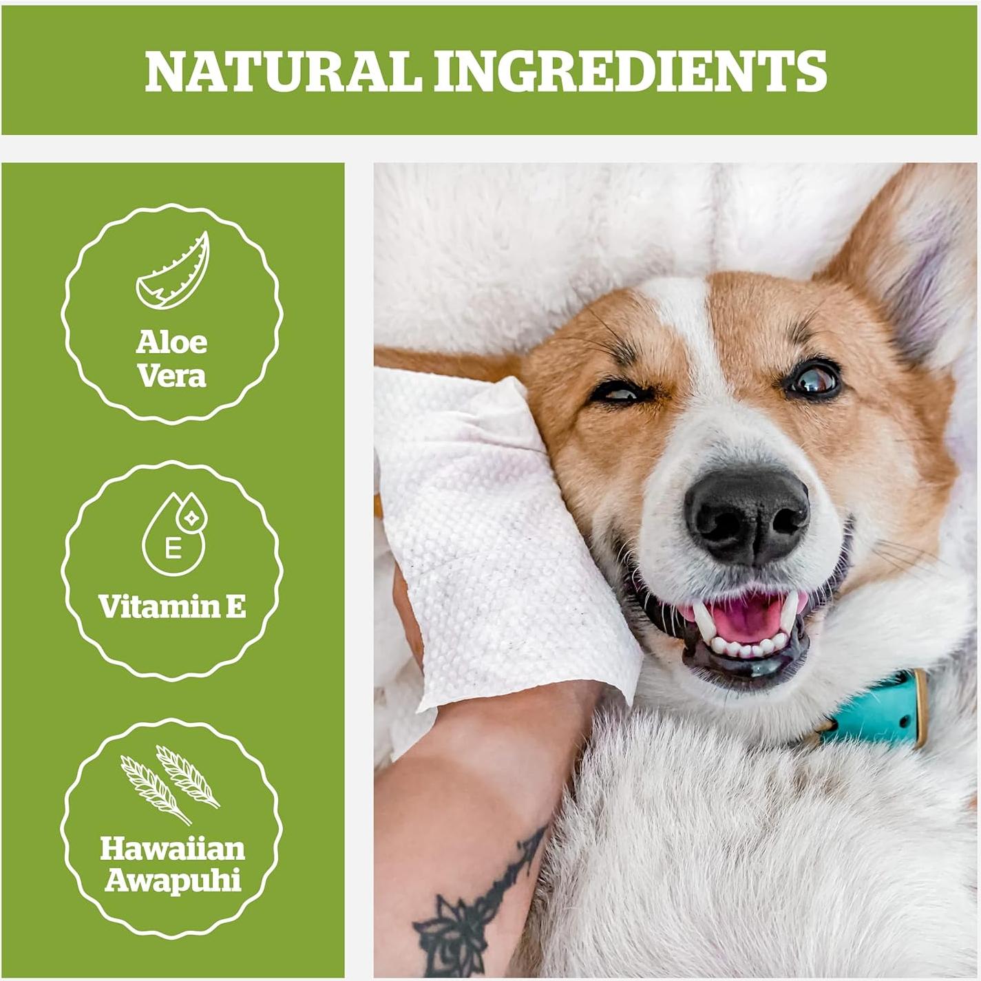 Toallitas Hipoalergénicas Pogi's 240 para Perros Té Verde