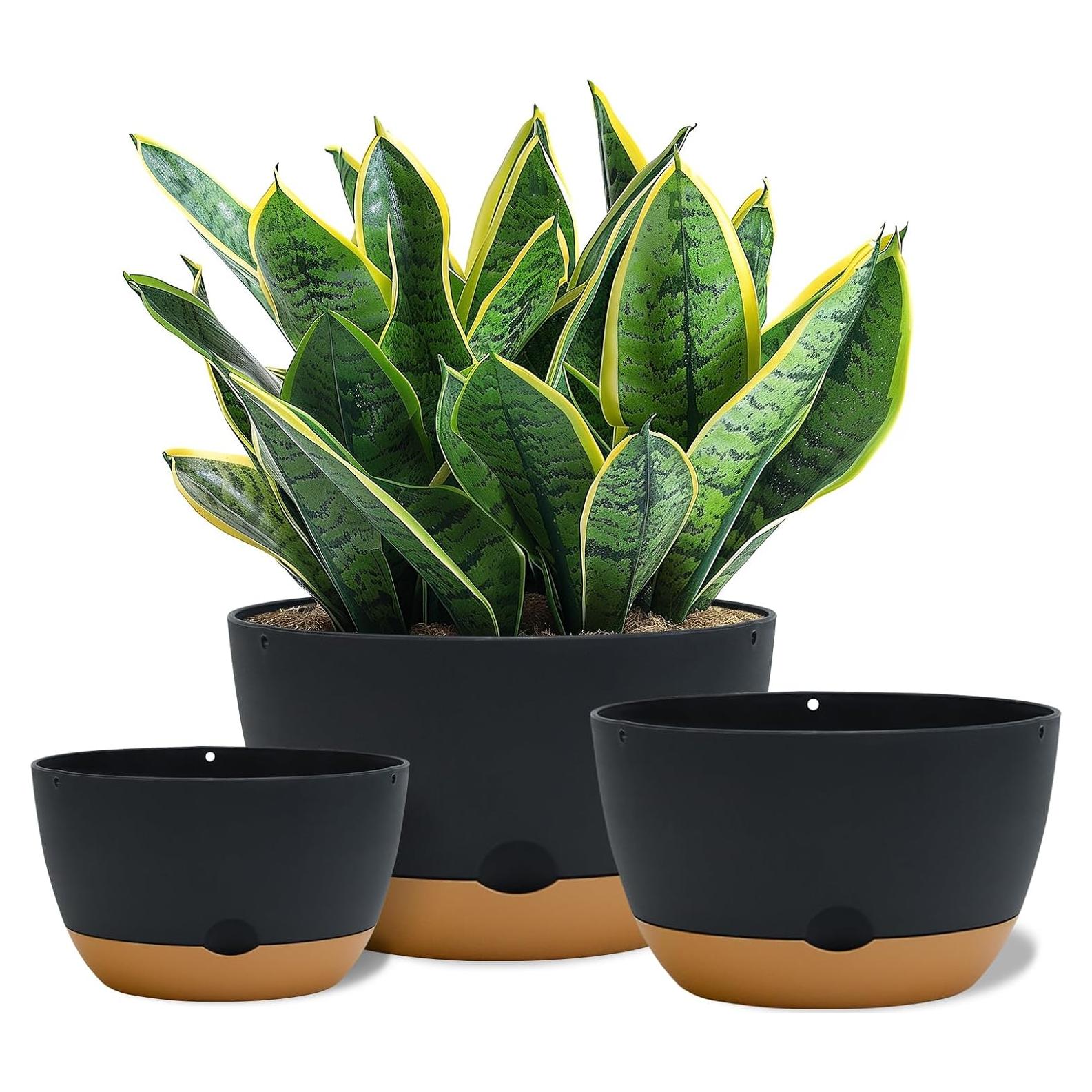 Macetas autorriego Koalaime 3 tamaños 20-30 cm gris