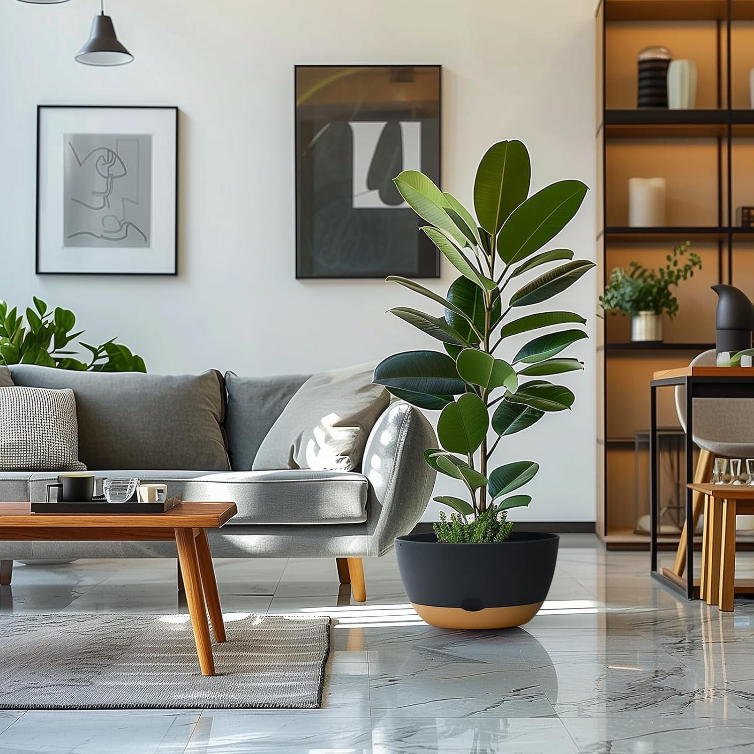 Macetas autorriego Koalaime 3 tamaños 20-30 cm gris