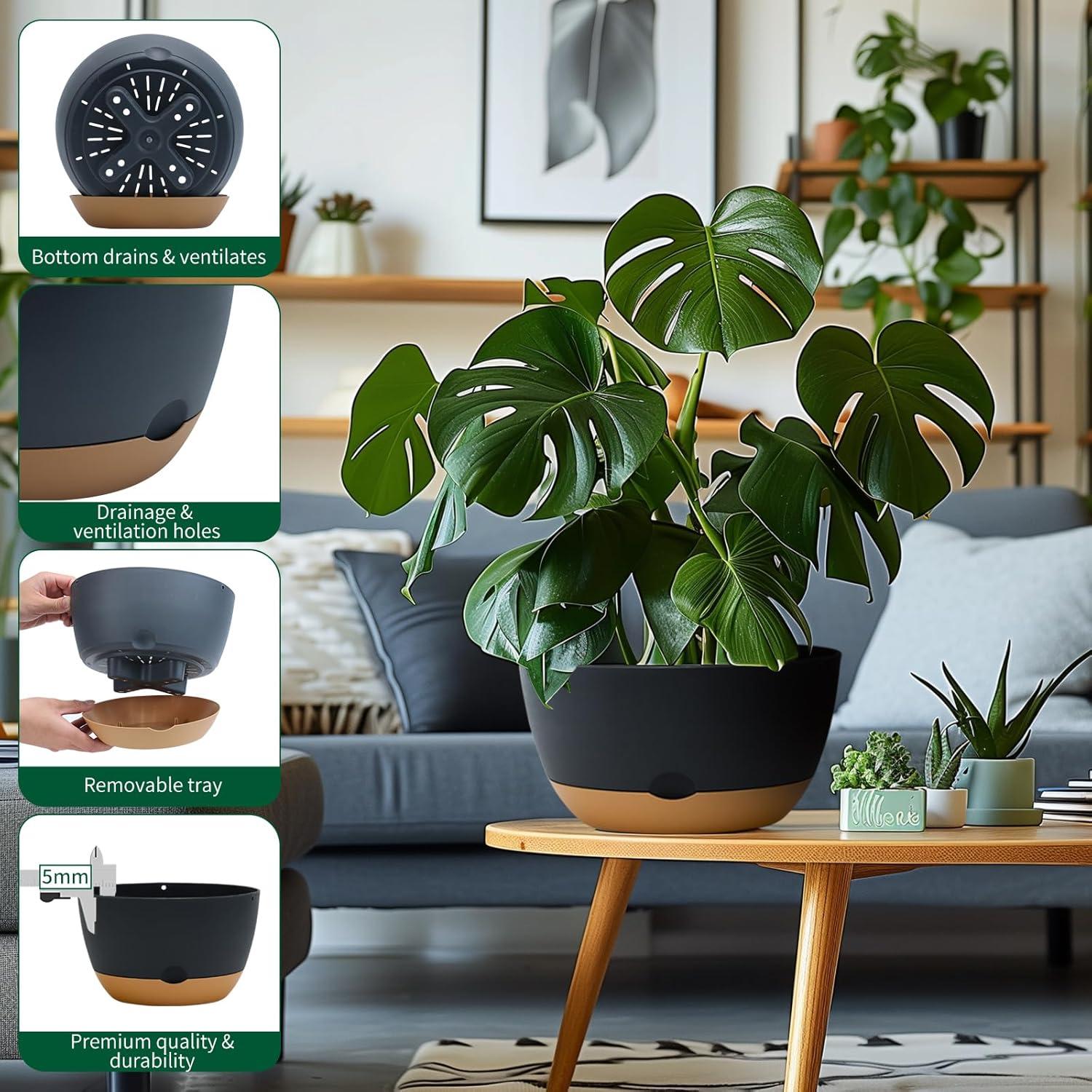 Macetas autorriego Koalaime 3 tamaños 20-30 cm gris