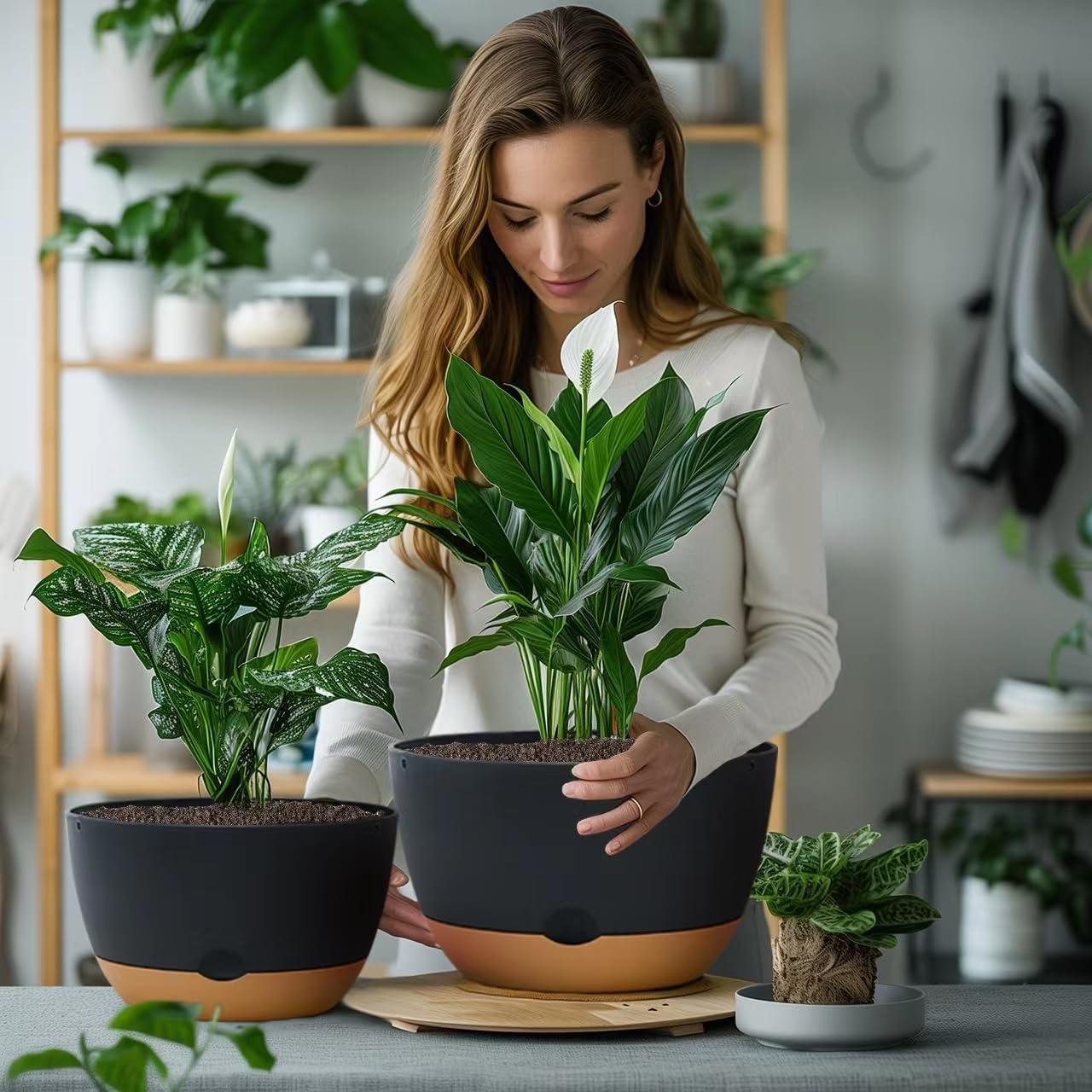 Macetas autorriego Koalaime 3 tamaños 20-30 cm gris