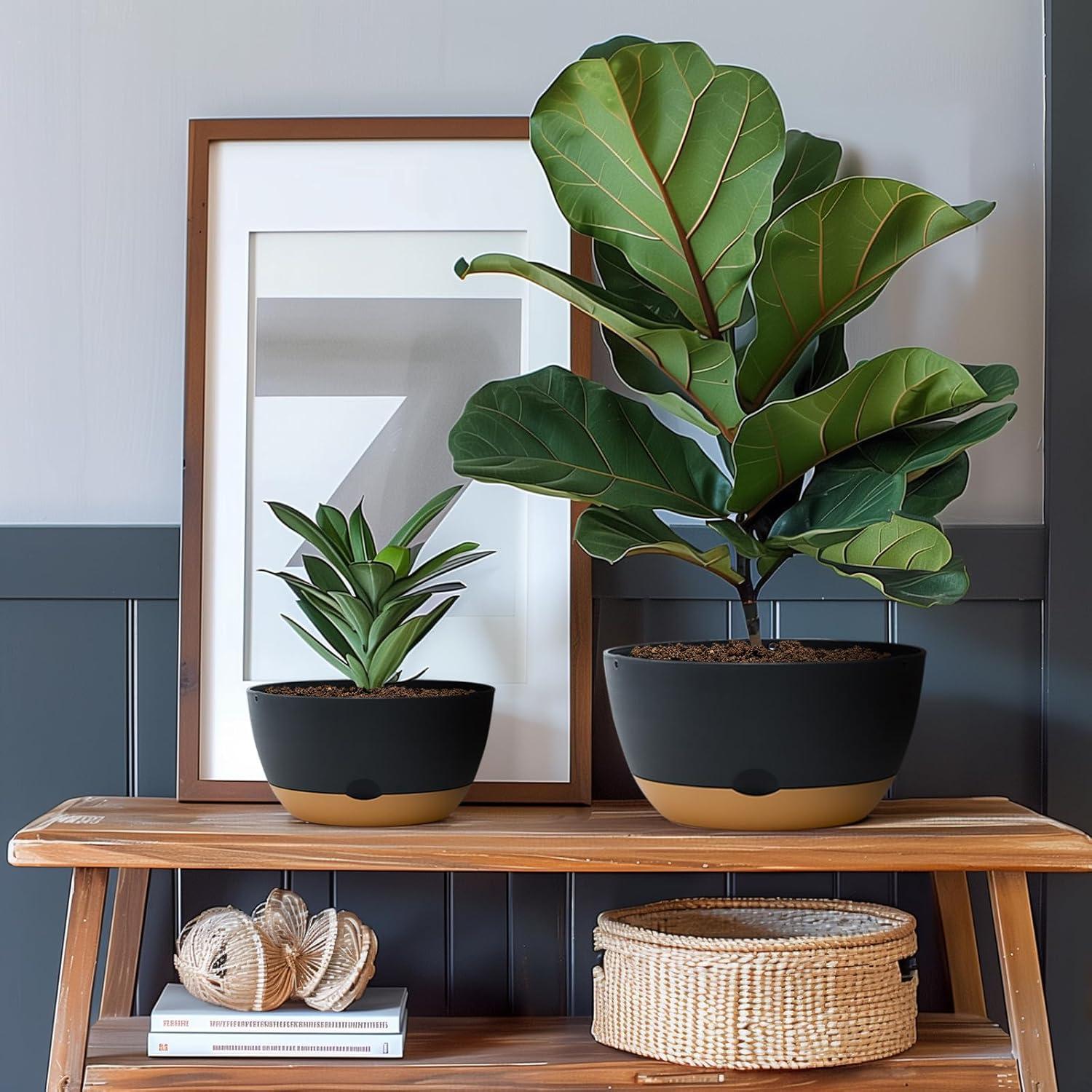 Macetas autorriego Koalaime 3 tamaños 20-30 cm gris