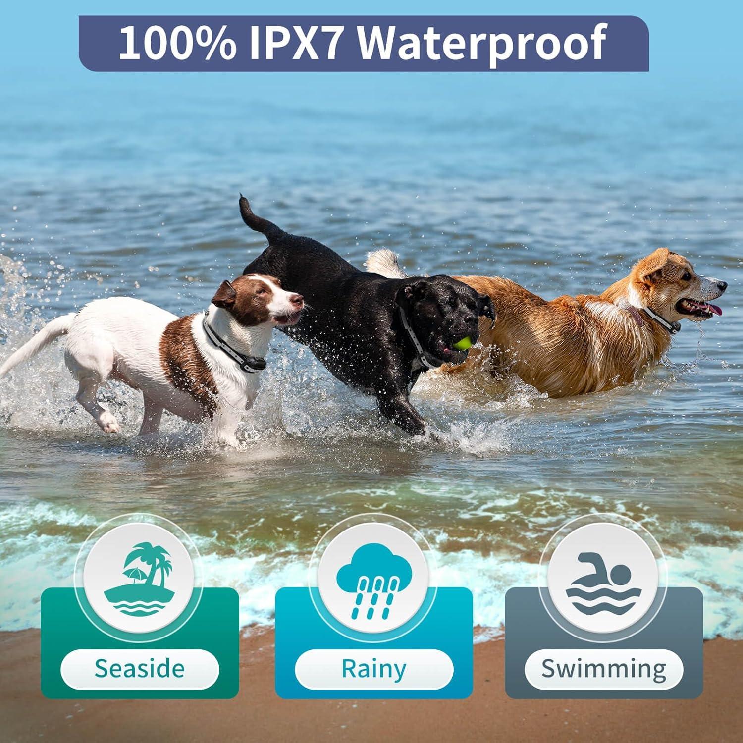 Collar de Choque PetJoy para 3 Perros con Control Remoto