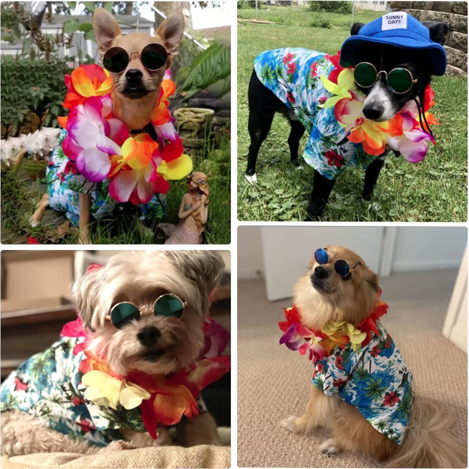 Disfraz Hawaiano para Perros Geyoga 3 Piezas Verano