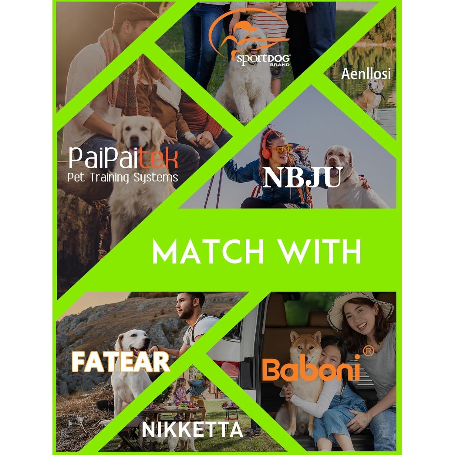 Collar Ajustable PaiPaitek para Perros - Nylon Duradero 1.9 cm