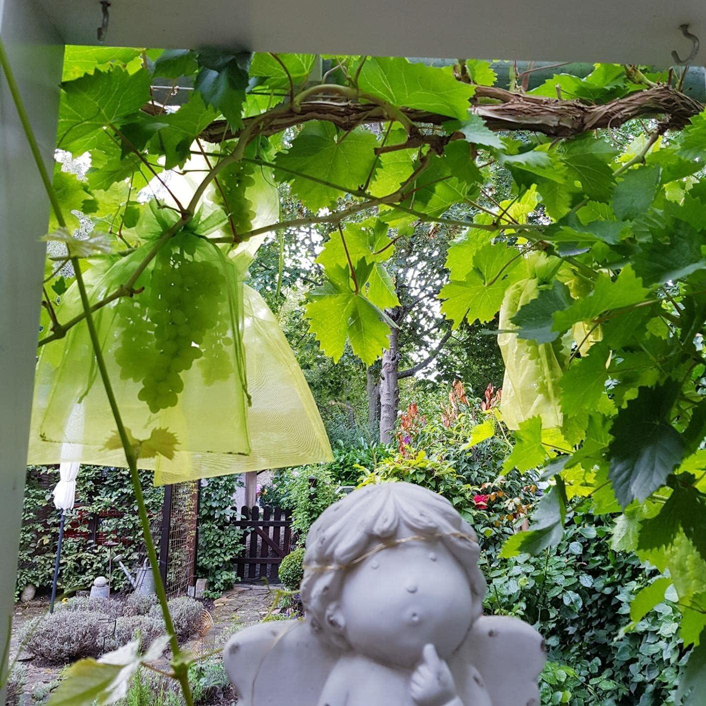 50 Bolsas de Malla Verde para Frutas Miuezuth 22.86x15.24 cm