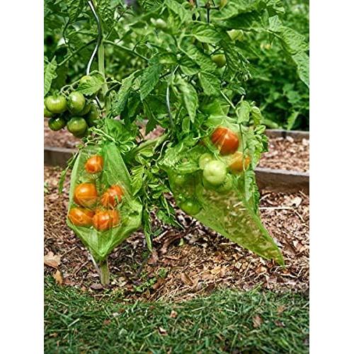 50 Bolsas de Malla Verde para Frutas Miuezuth 22.86x15.24 cm