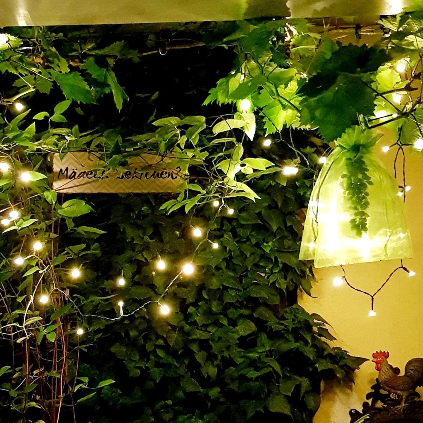 50 Bolsas de Malla Verde para Frutas Miuezuth 22.86x15.24 cm