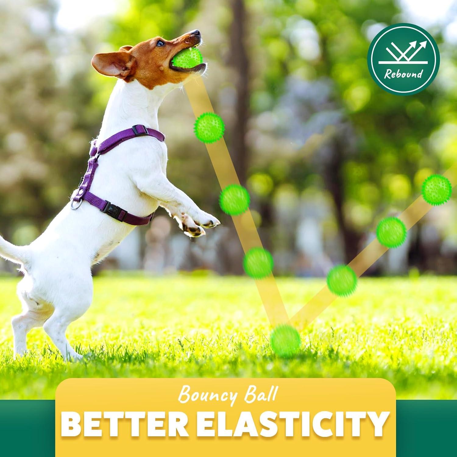 Pelotas Interactivas para Perros PUPTILY 5 Pcs 6.35 cm