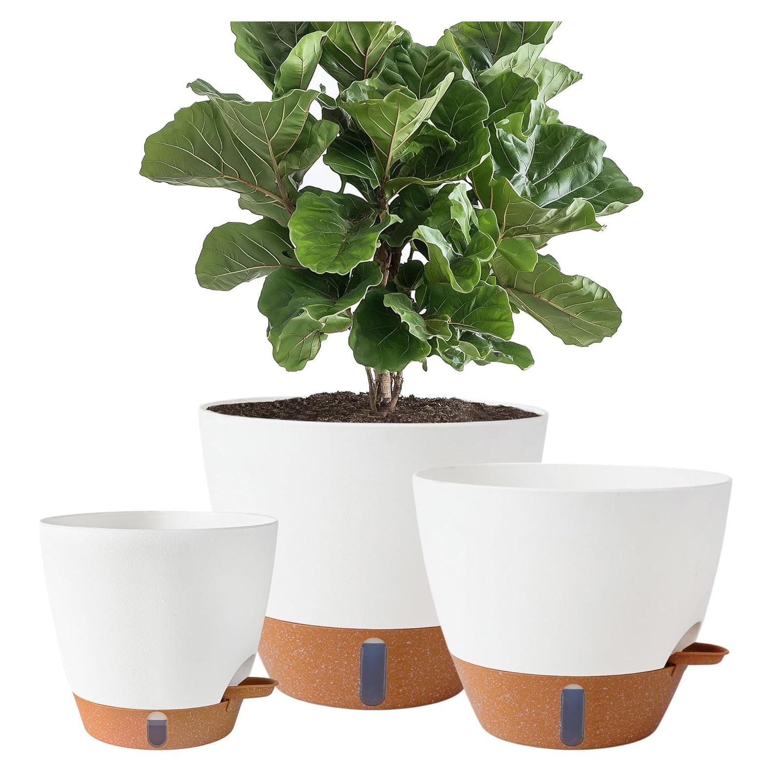 Macetas de Autorriego Fielda 30/25/20 cm Blancas