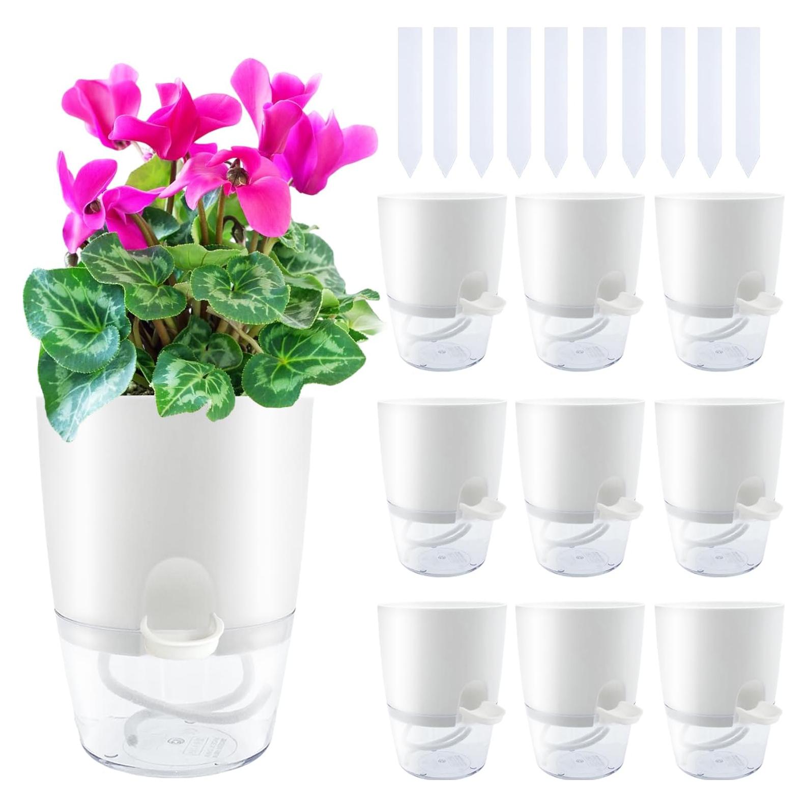 Macetas Transparentes de Autorriego Haawooky 10.5 cm 10 Pzas