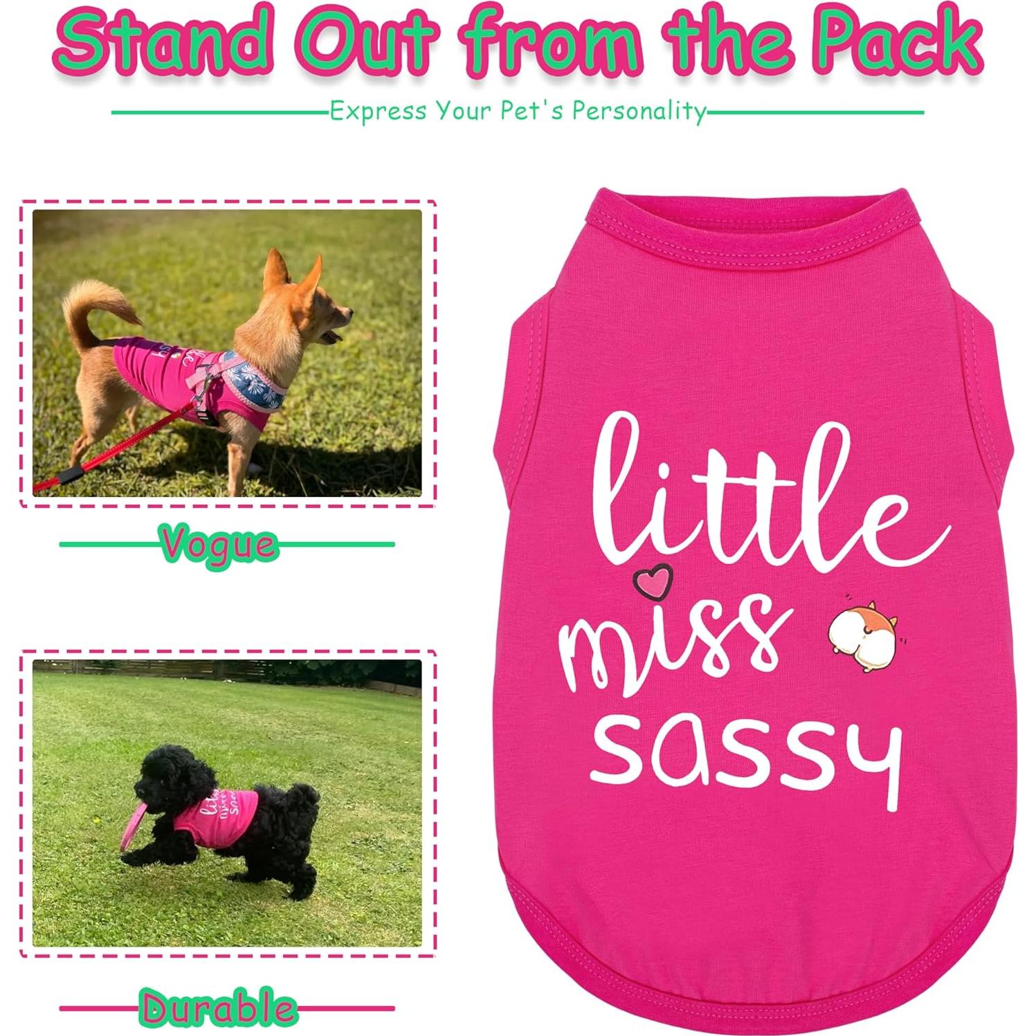 Chaleco Sin Mangas Paiaite para Perros Pequeños y Medianos