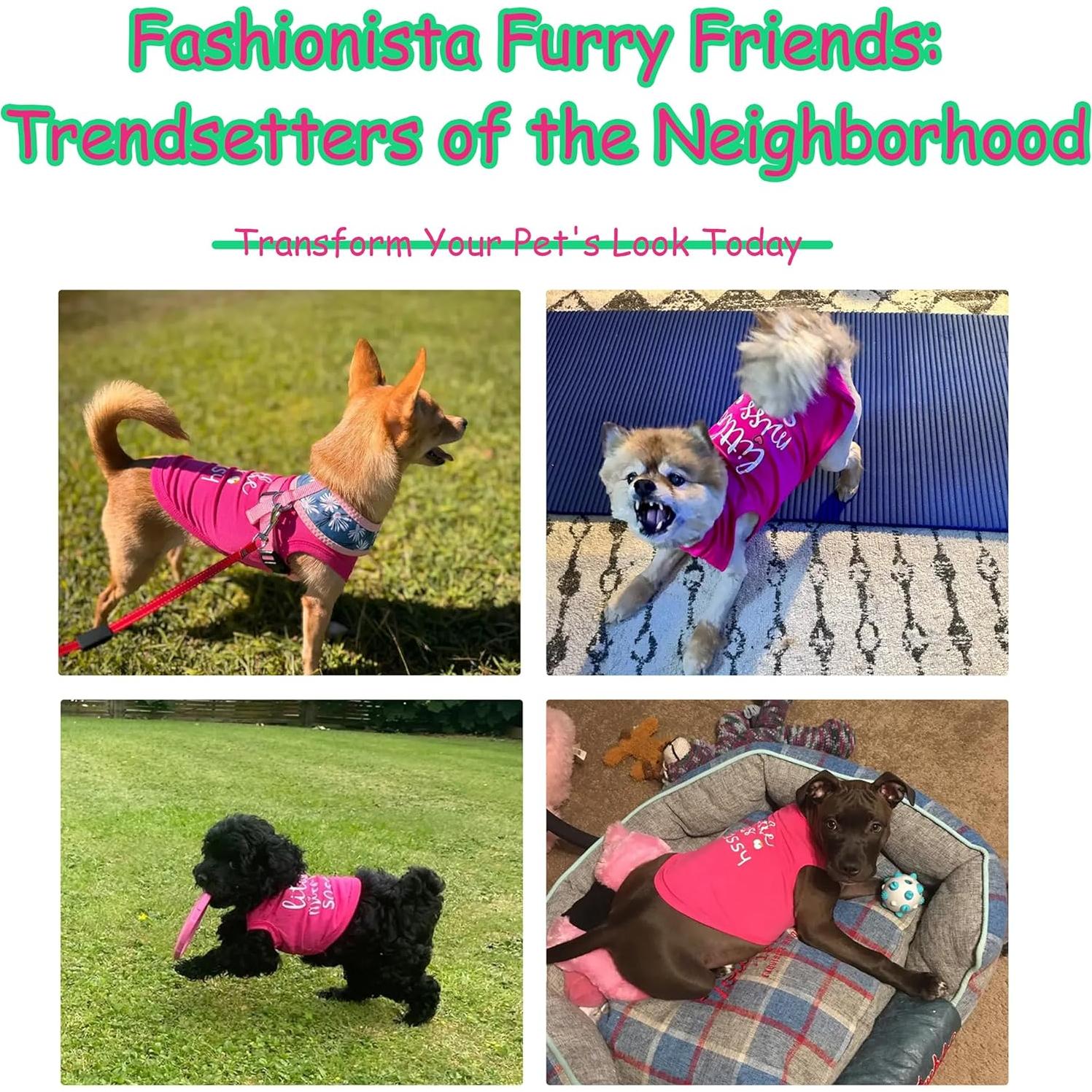 Chaleco Sin Mangas Paiaite para Perros Pequeños y Medianos