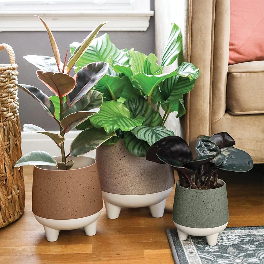 Maceta Autorriego El HC Companies 20 cm Greige Moderna