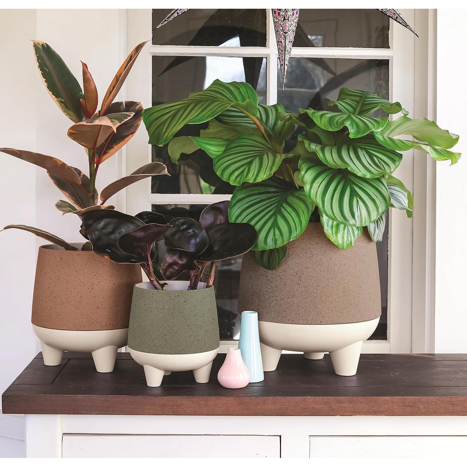 Maceta Autorriego El HC Companies 20 cm Greige Moderna