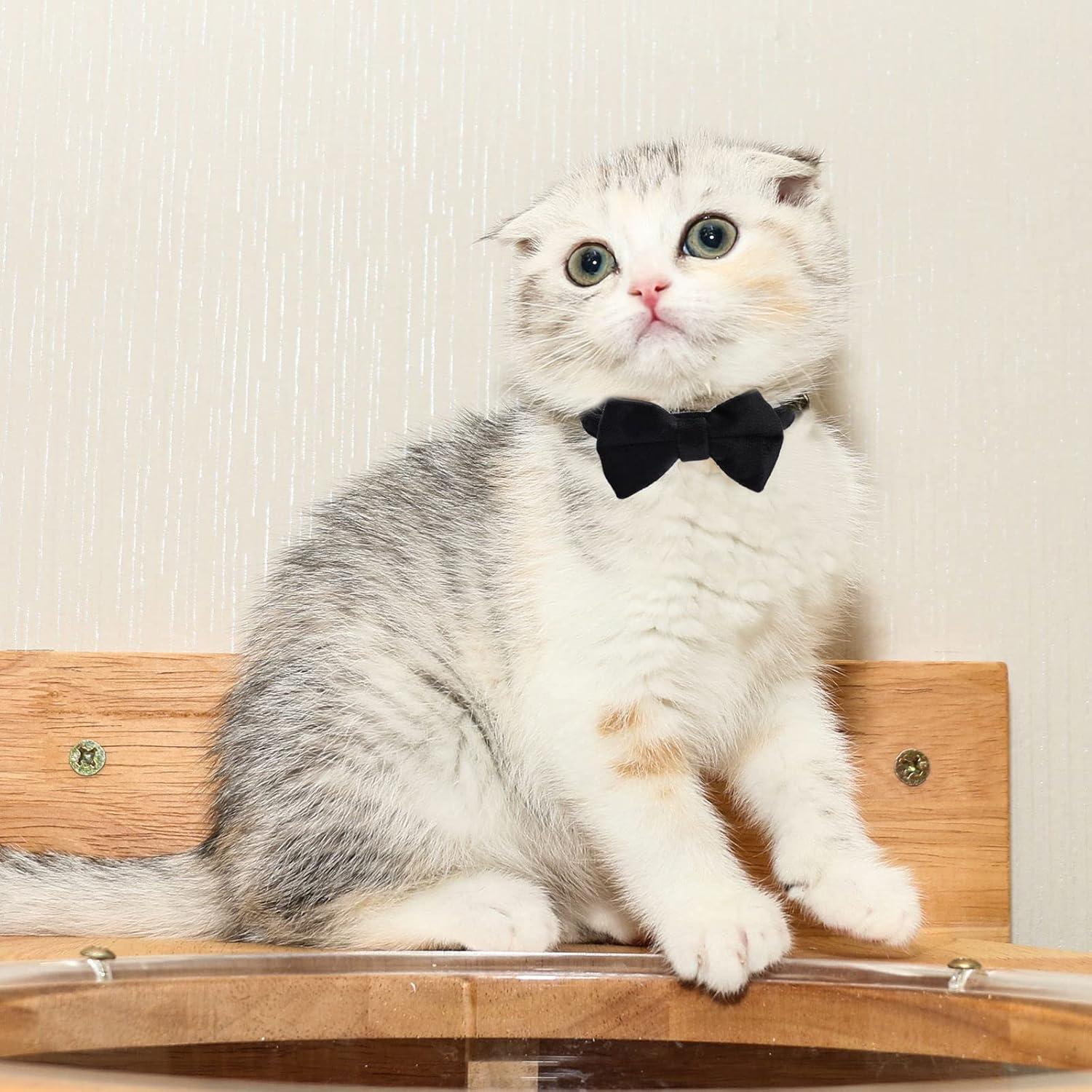 Collares de Gato Ajustables Sliverdew 2 Pcs Terciopelo con Campana