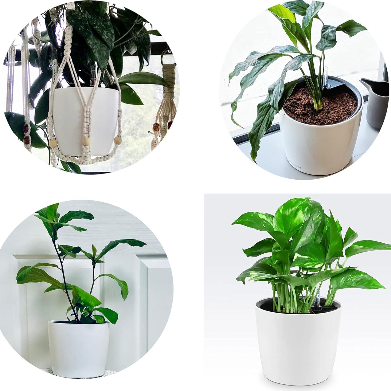 Paquete de 5 macetas autorriego HEIHAK 17.78 cm blancas