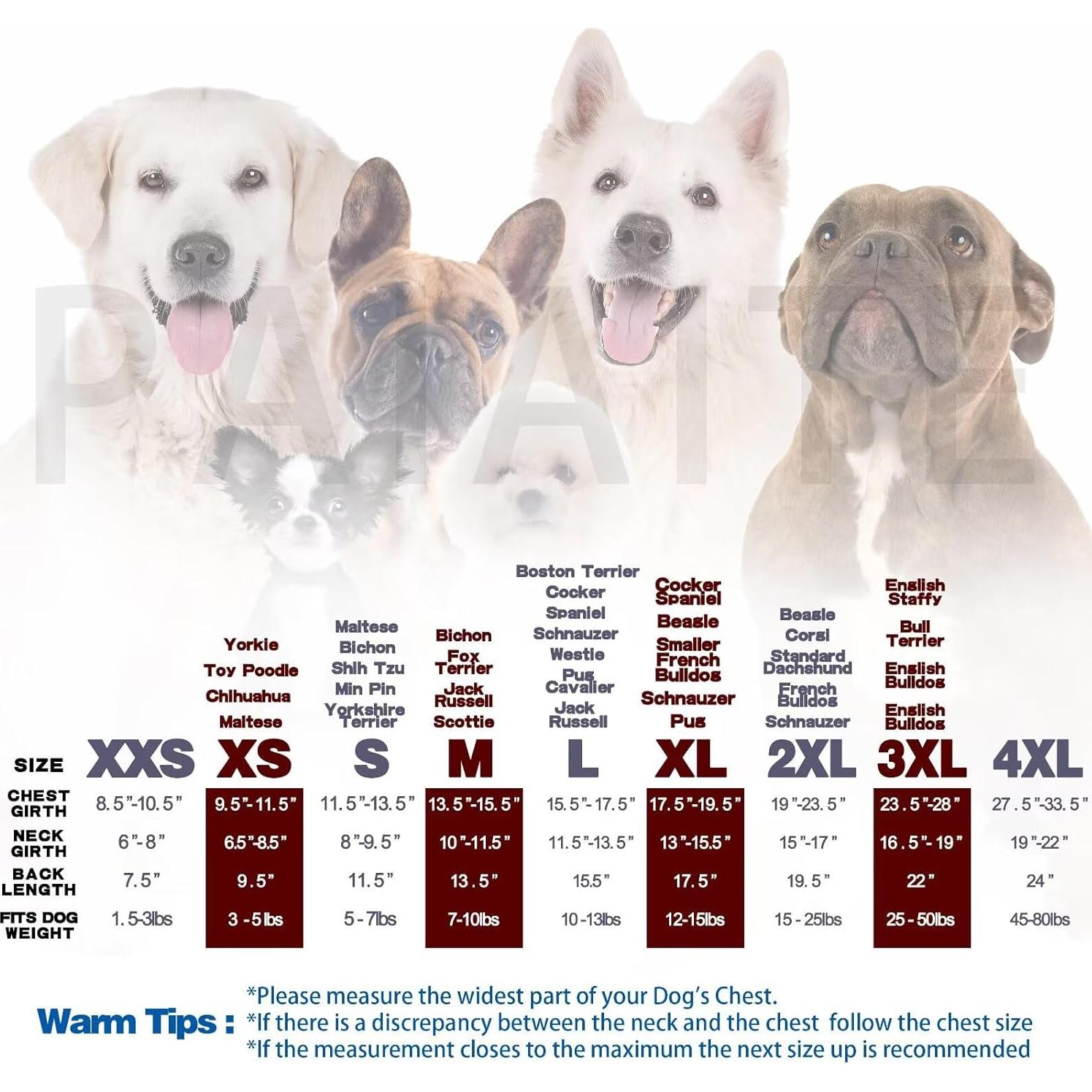 Sudadera para Perro Paiaite Negra Mediana con Diseño Seguridad