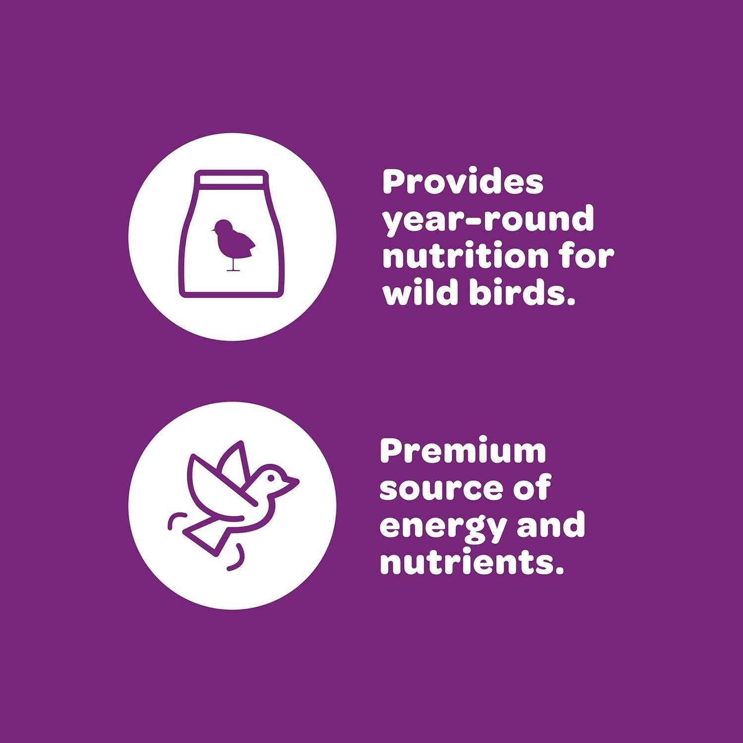 Mezcla de Nueces y Frutas Kaytee para Aves Silvestres 2.27 kg