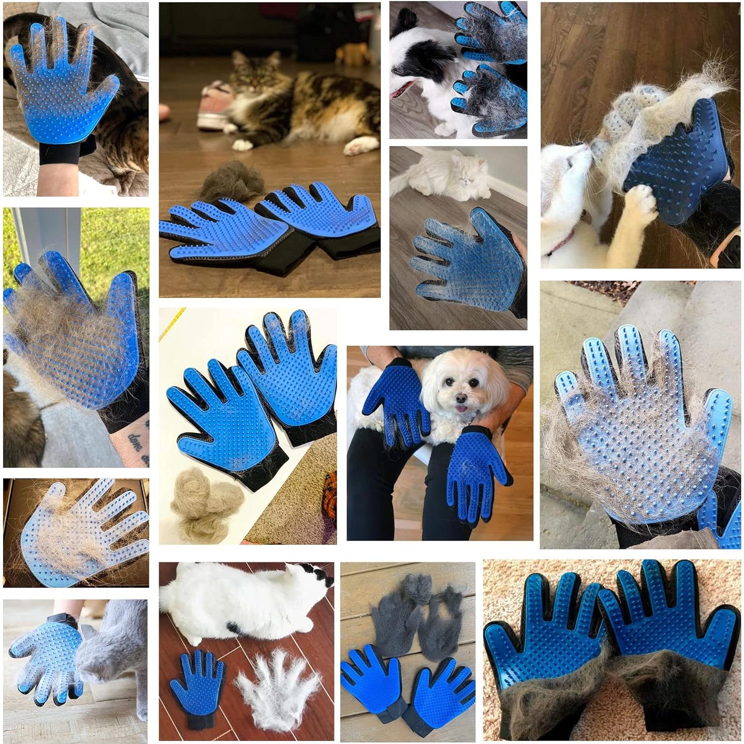 Guantes de Aseo para Mascotas Kennels & Kats - Talla Única Azul