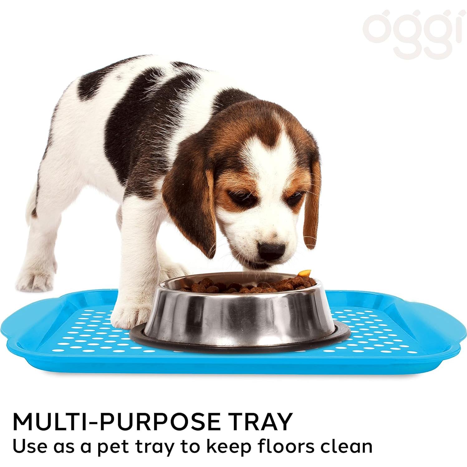 Bandeja de Servicio Antideslizante OGGI Aqua 44x29 cm