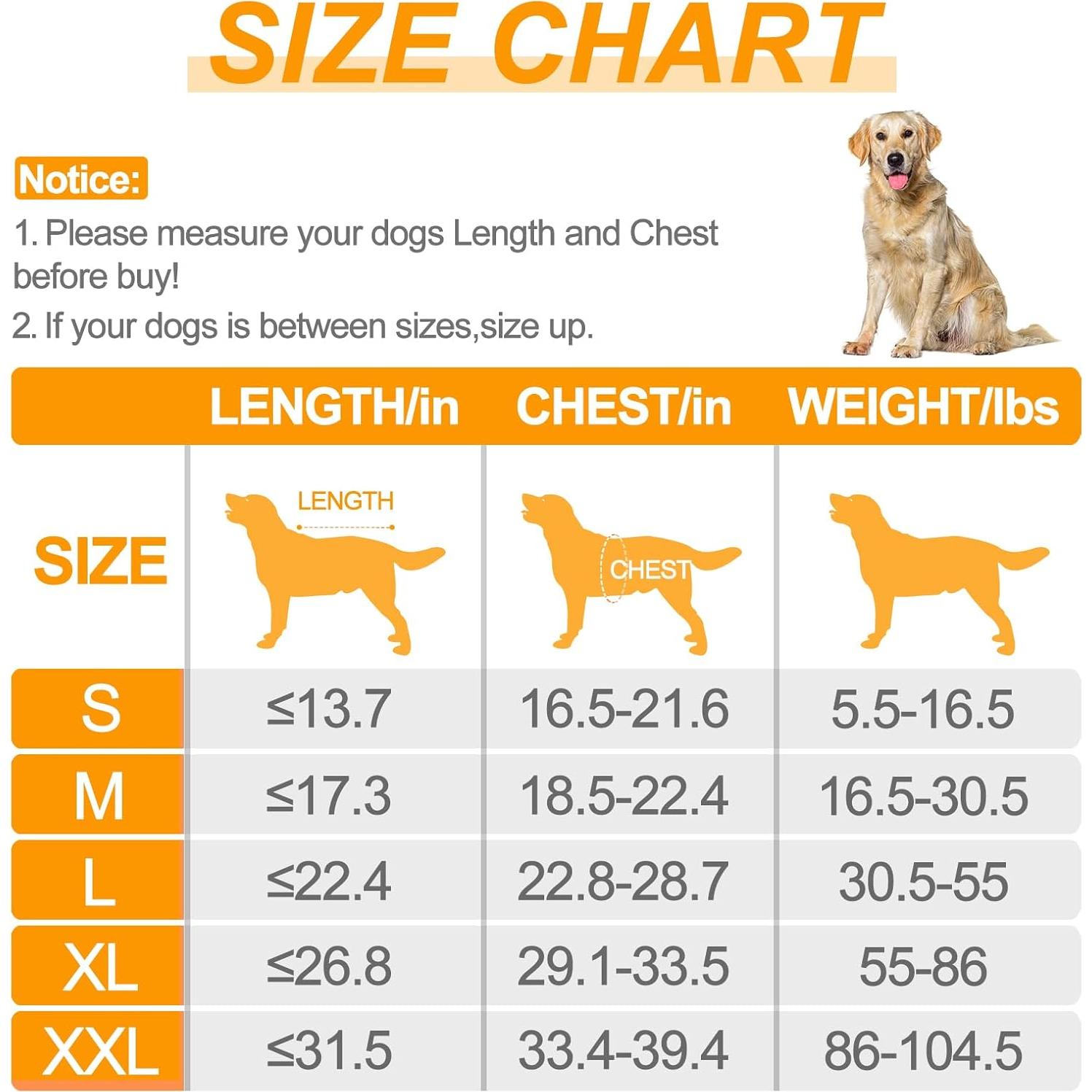 Baño para Perros Bienbee XL Azul Oscuro, Secado Rápido