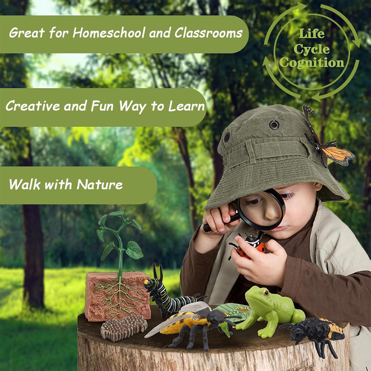 Juguete Educativo Mbrain Ciclo de Vida Rana y Mariposa