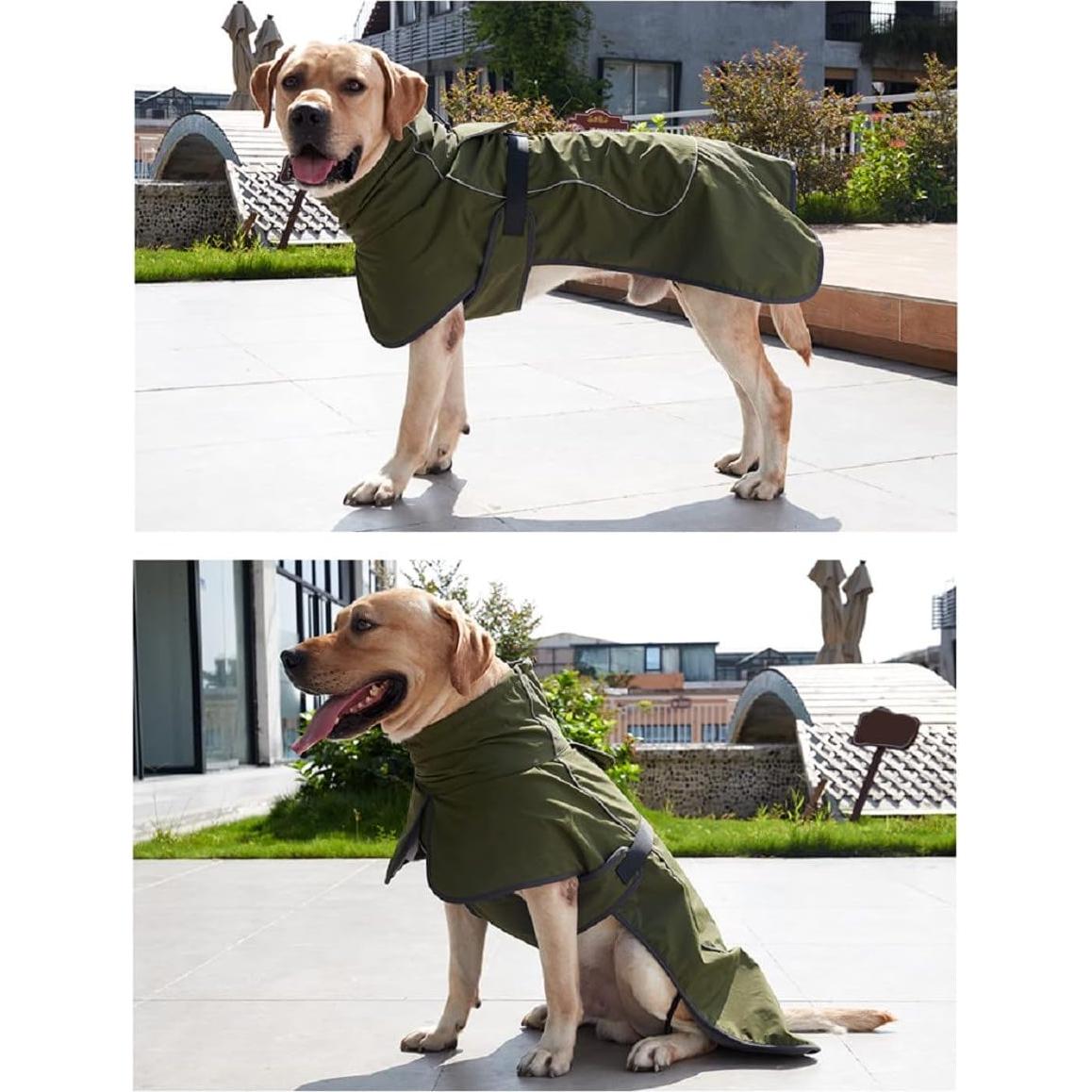 Abrigo Impermeable para Perros ODSSDAPU Verde XS