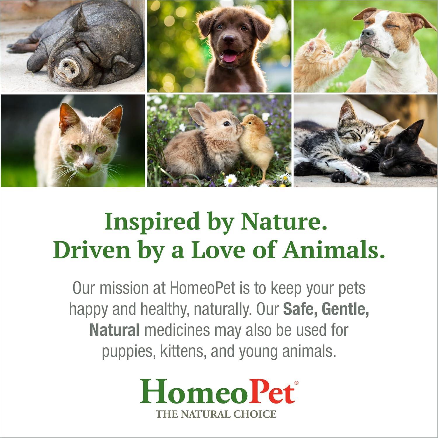 HomeoPet Alivio Nasal para Gatos 15ml - Suplemento Natural