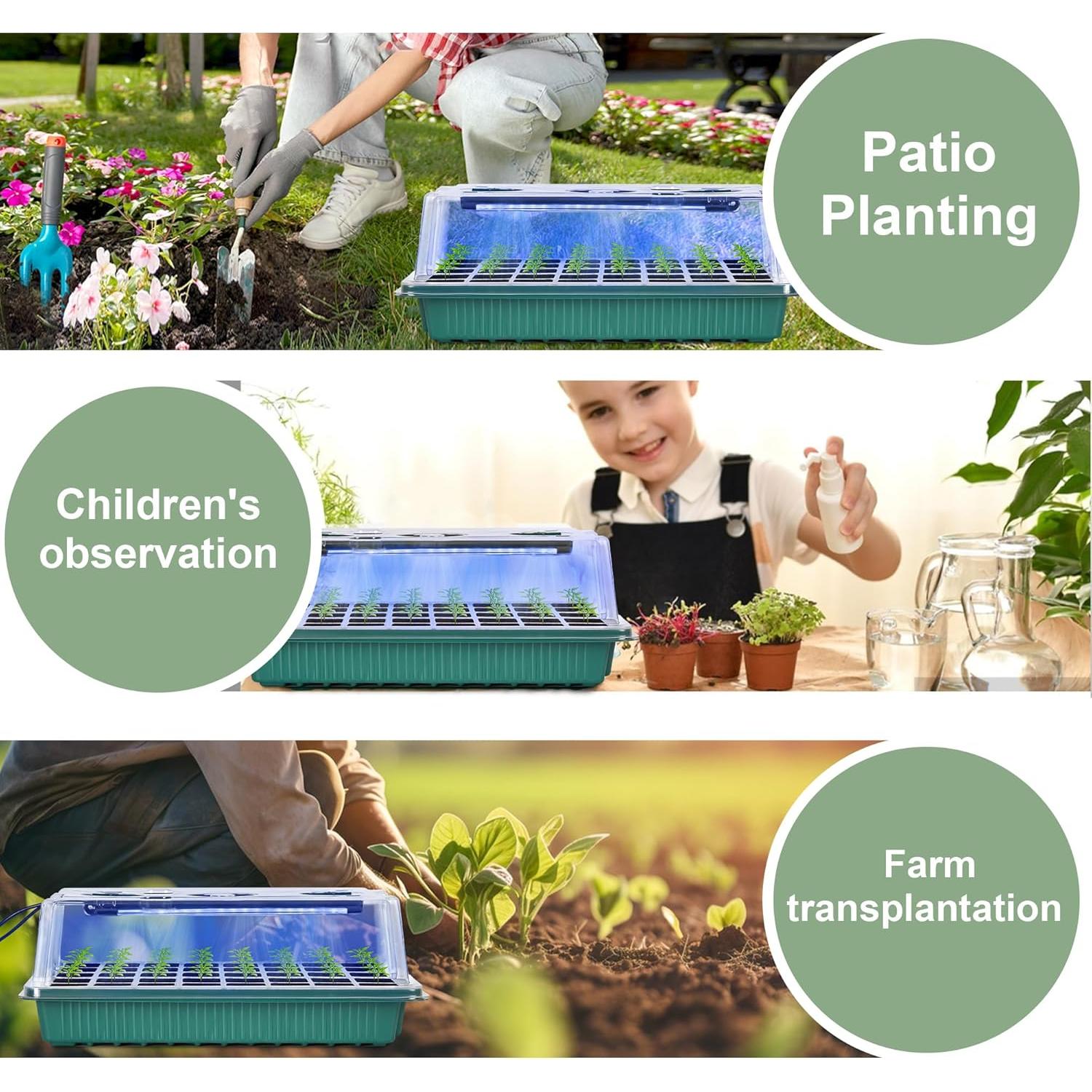 Kit de Germinación NEWKITS con Luz y 80 Celdas