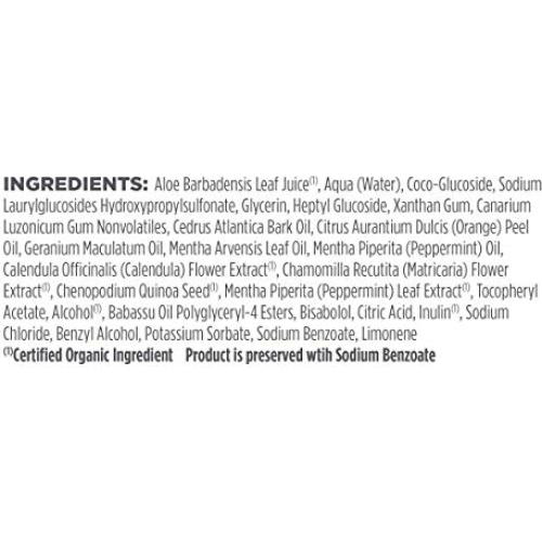 Champú Fortalecedor de Menta Avalon Organics 311 ml