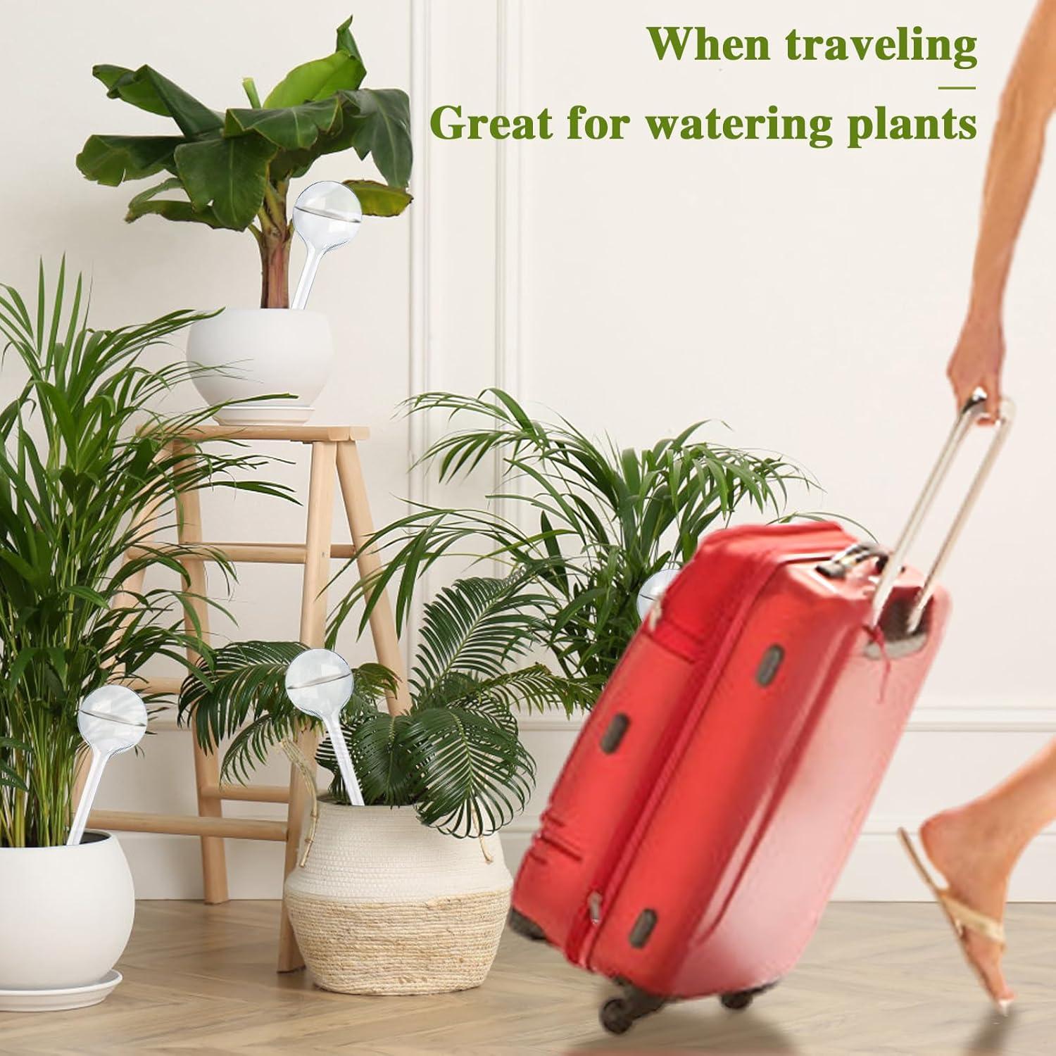 12 Bombillas de Riego Automático Pynqdfu Transparentes