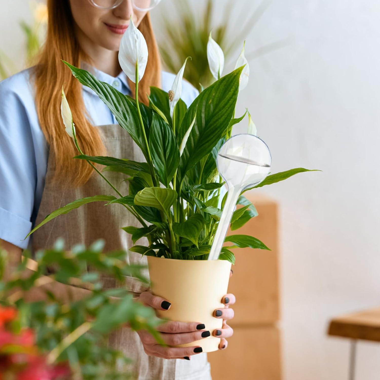 12 Bombillas de Riego Automático Pynqdfu Transparentes