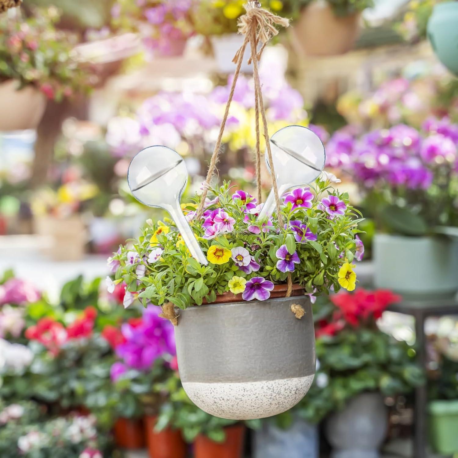 12 Bombillas de Riego Automático Pynqdfu Transparentes