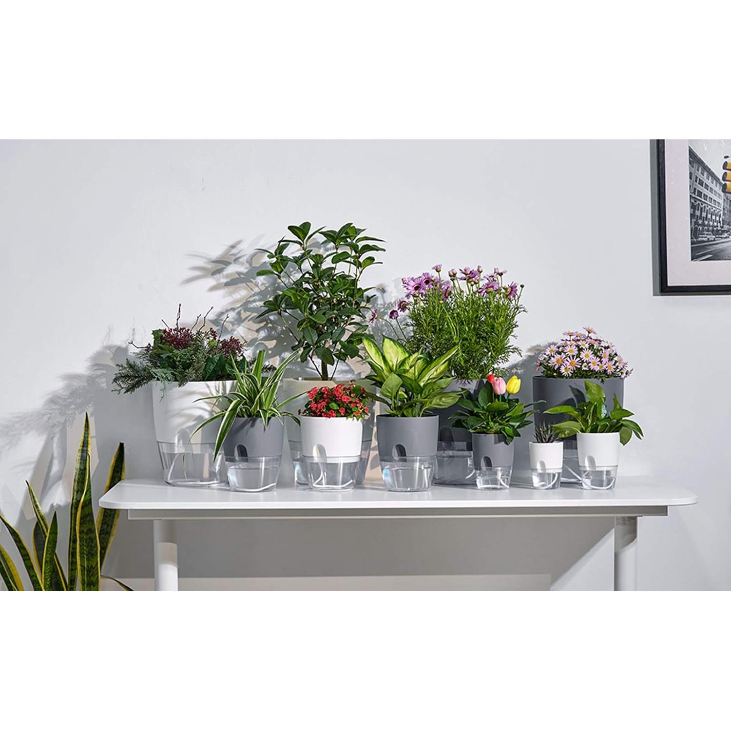 Macetas Autorriego ETGLCOZY 5 Piezas Gris 15,24 cm